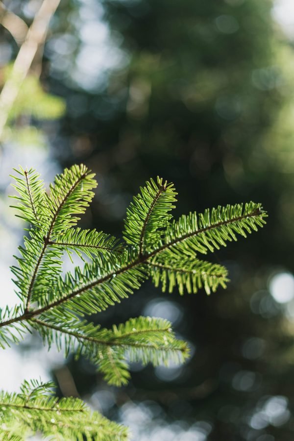 artiom-vallat-3WQnKtahMq0-unsplash