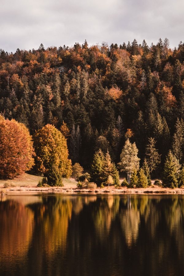 tim-arnold-J_GHee2h9WQ-unsplash